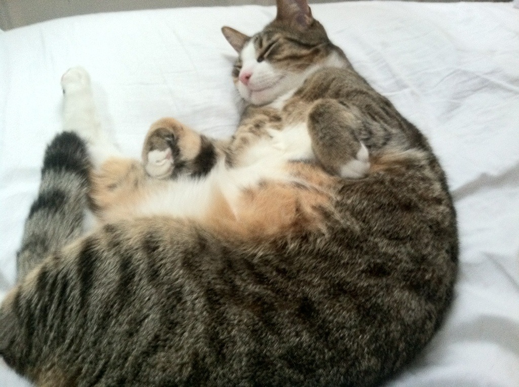 碾压式狂飙，那一年马刺如何将爵士防线撕成碎片