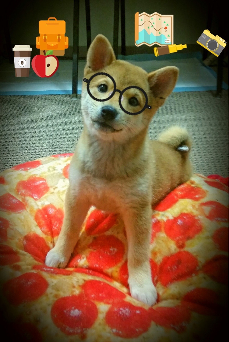 铁血蓝鹰锁死北欧海盗，内马尔一剑封喉定乾坤