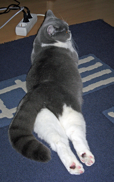 逆光之翼，马克西的狂澜之夜与76人新王崛起