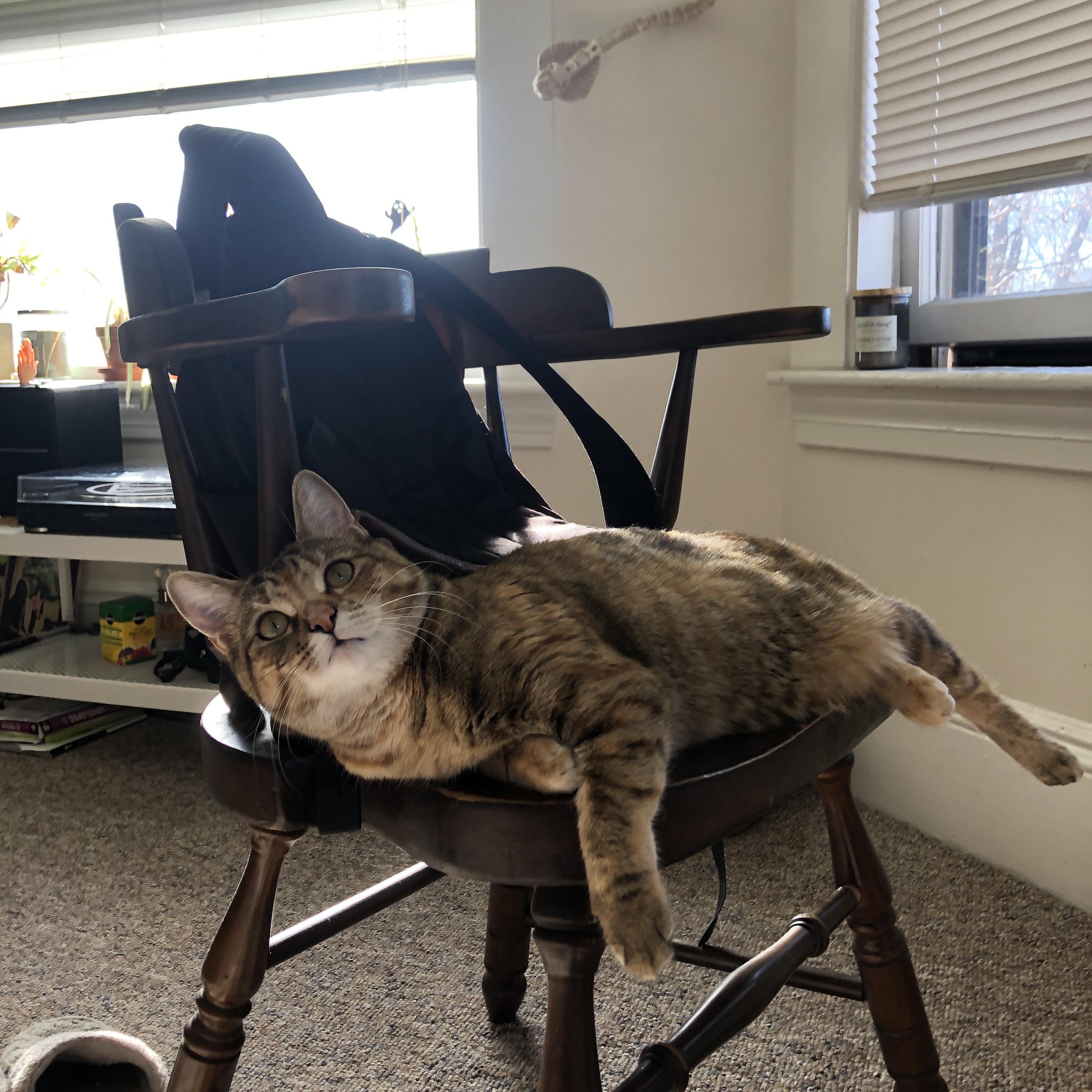 惊心动魄的绿色对决，阿克连珠炮般的得分，如何一举击碎里昂的翻盘希望？