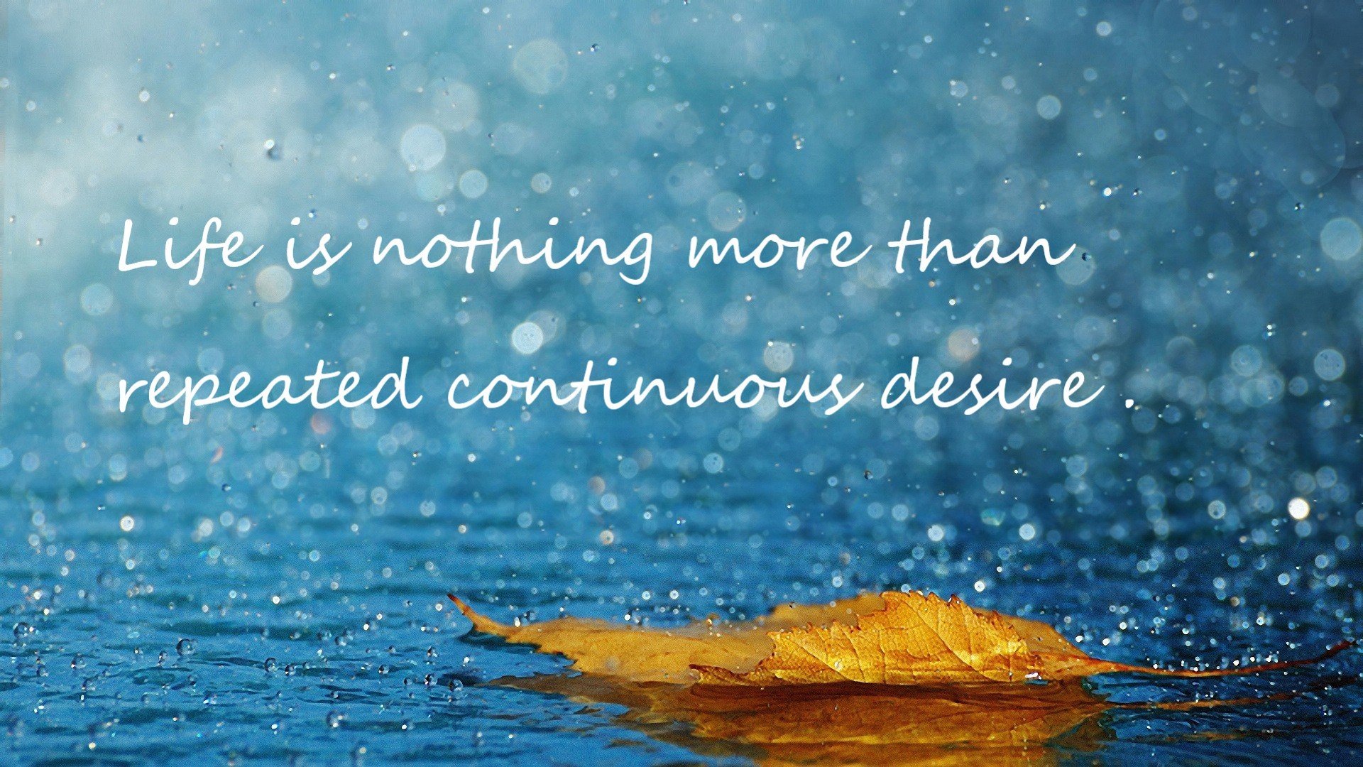 乔治终场绝杀定乾坤，奇才鏖战绿军夺关键胜利