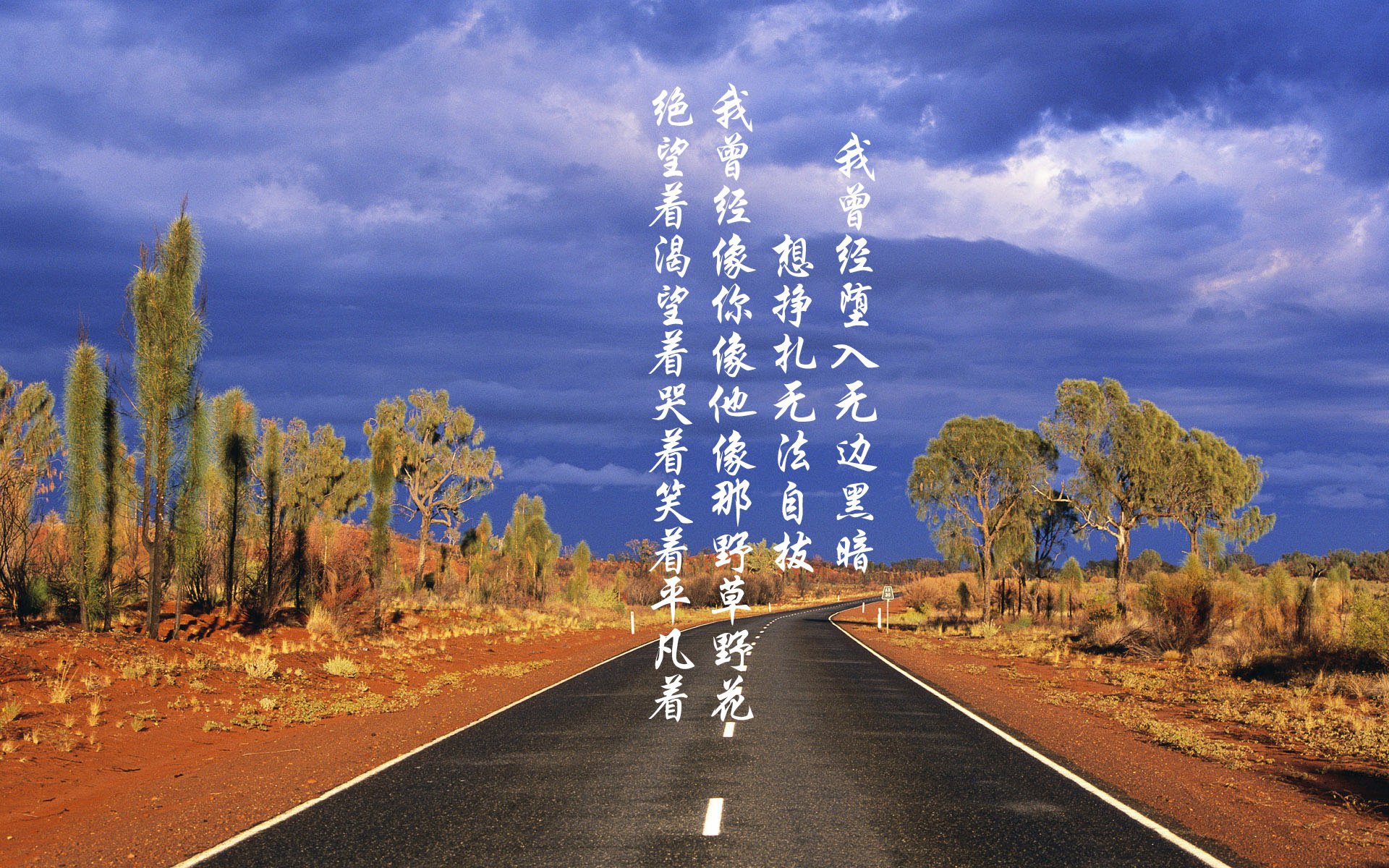 绿茵与硬木的共鸣,塔图姆的英超争冠之夜