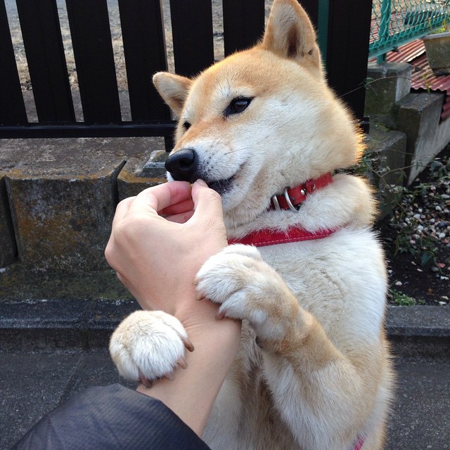 马丁内利,在诺坎普赛道,以221公里/小时接管比赛