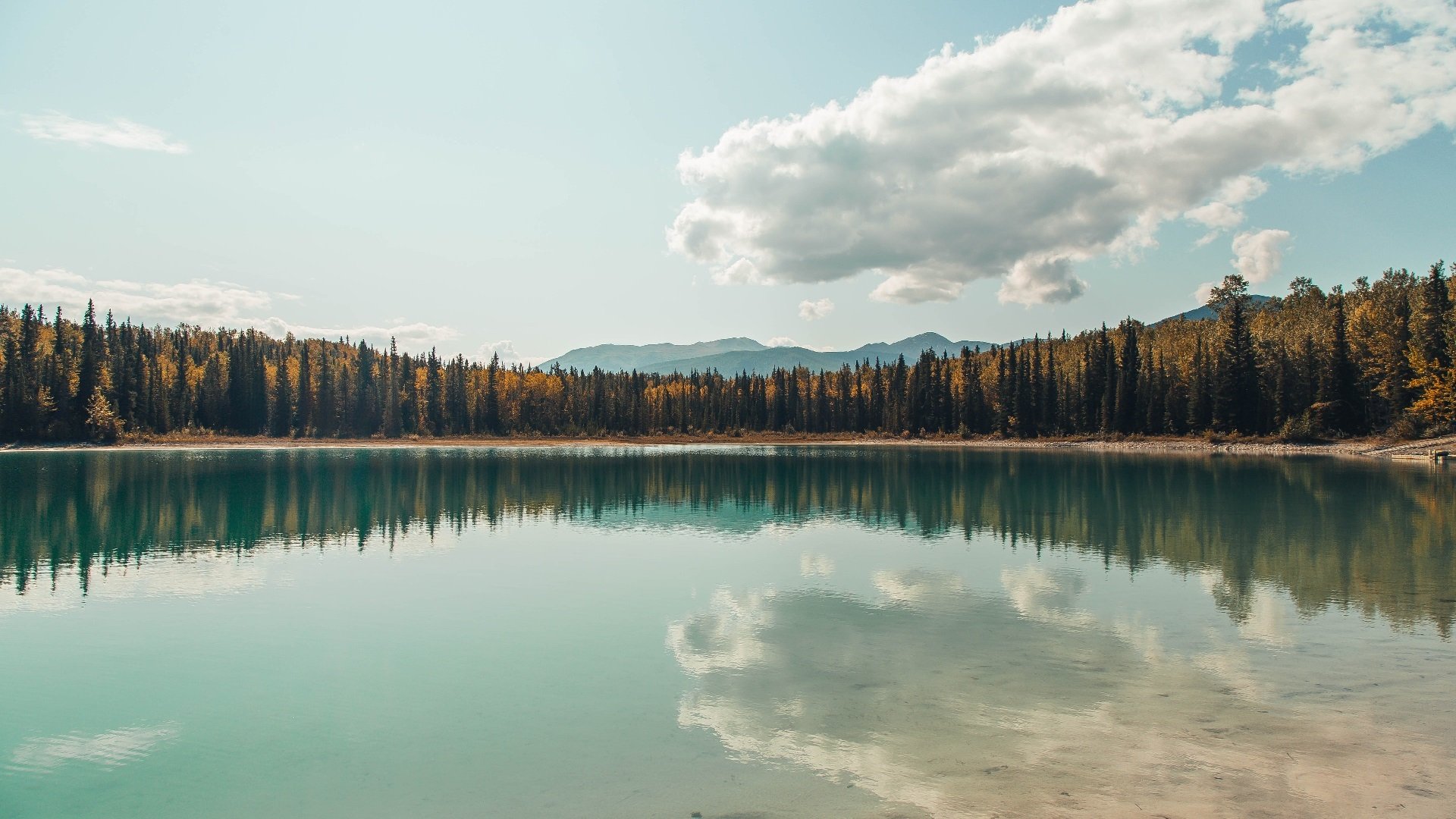 布克狂轰52+10创生涯之夜,爵士团队发力擒获独行侠