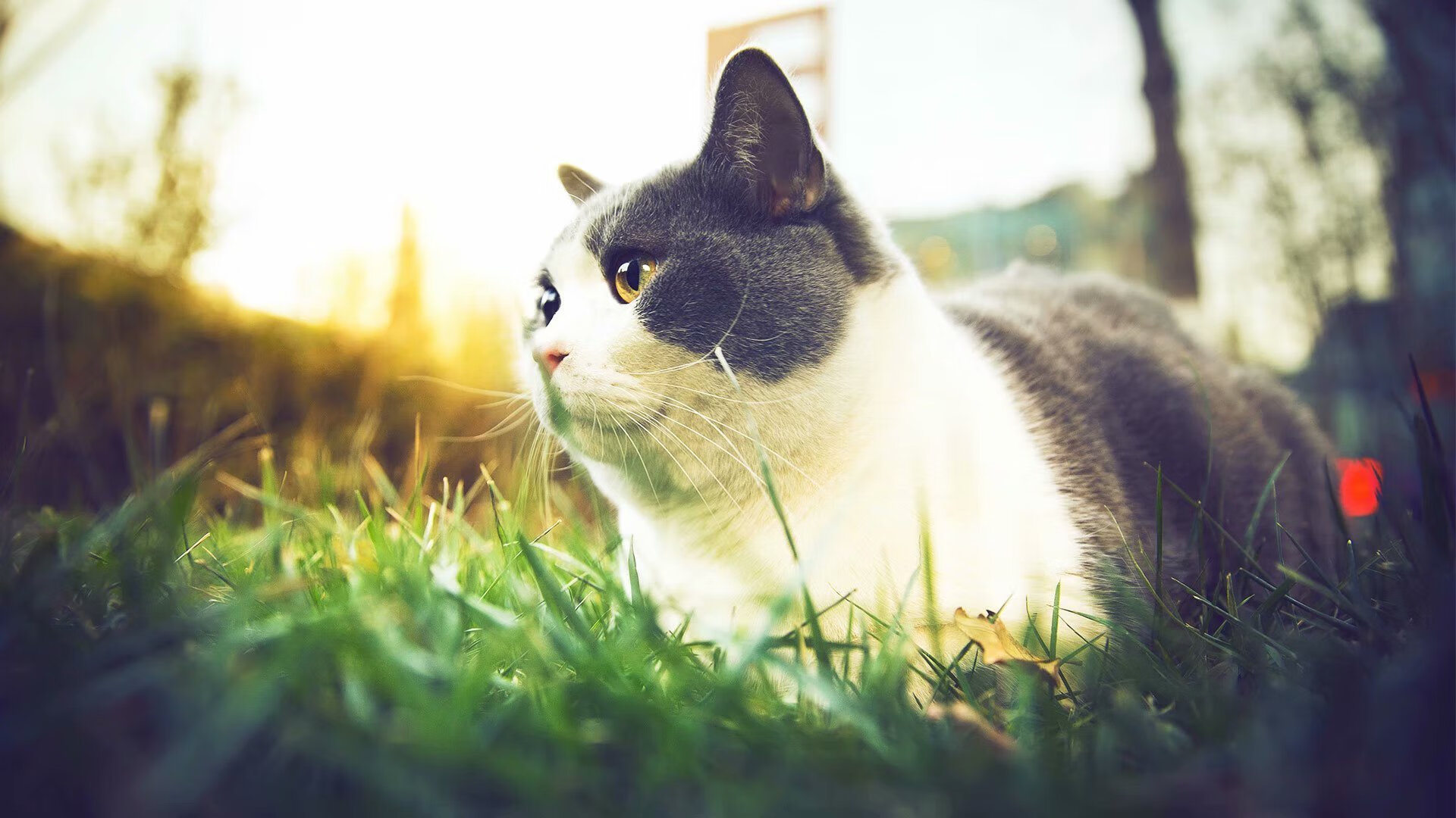 铁索横江破苍穹，当上海队用战术铁网锁死篮网风暴