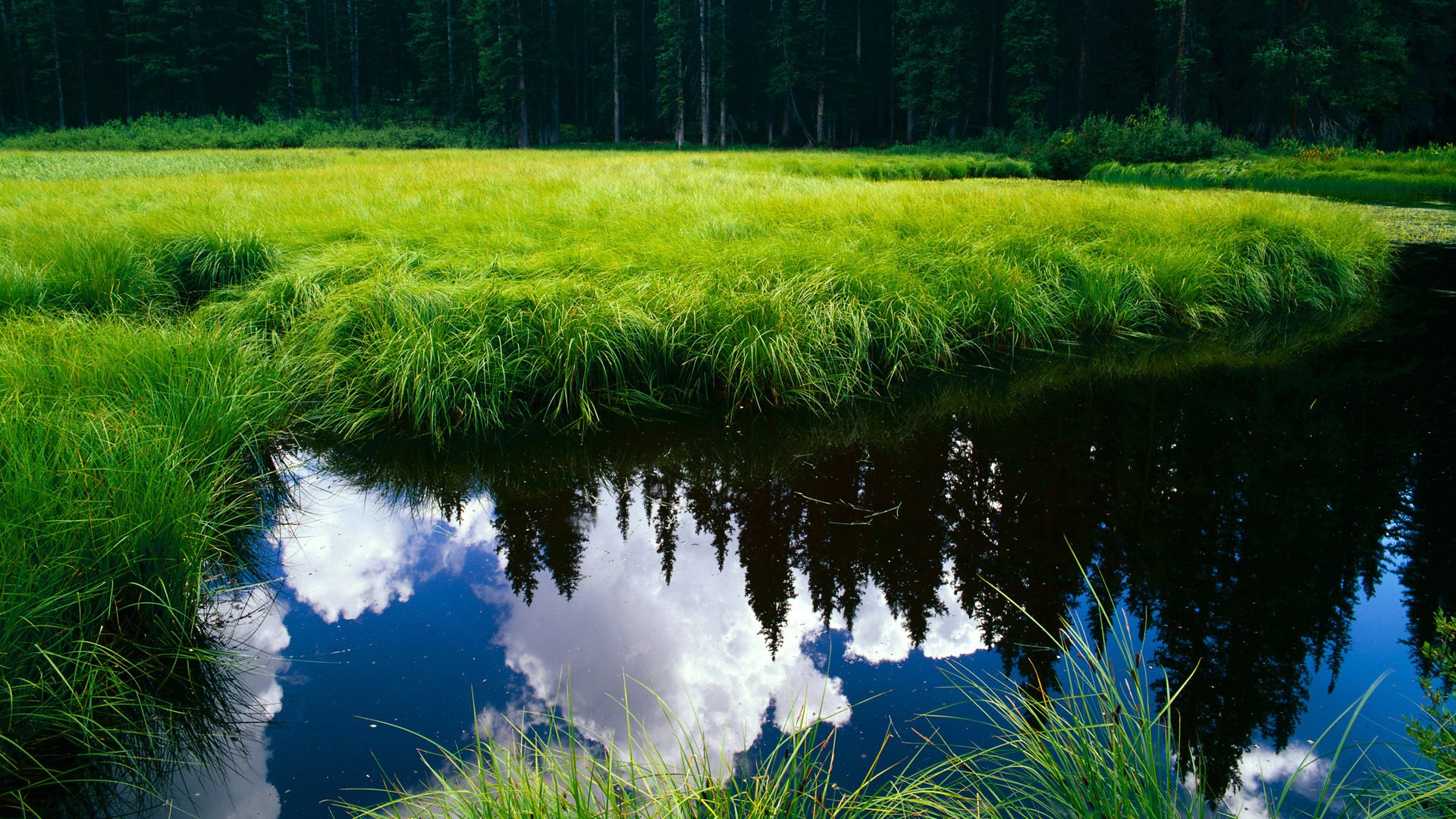 战神降世！阿尔瓦雷斯狂暴输出，委内瑞拉踏平南非！
