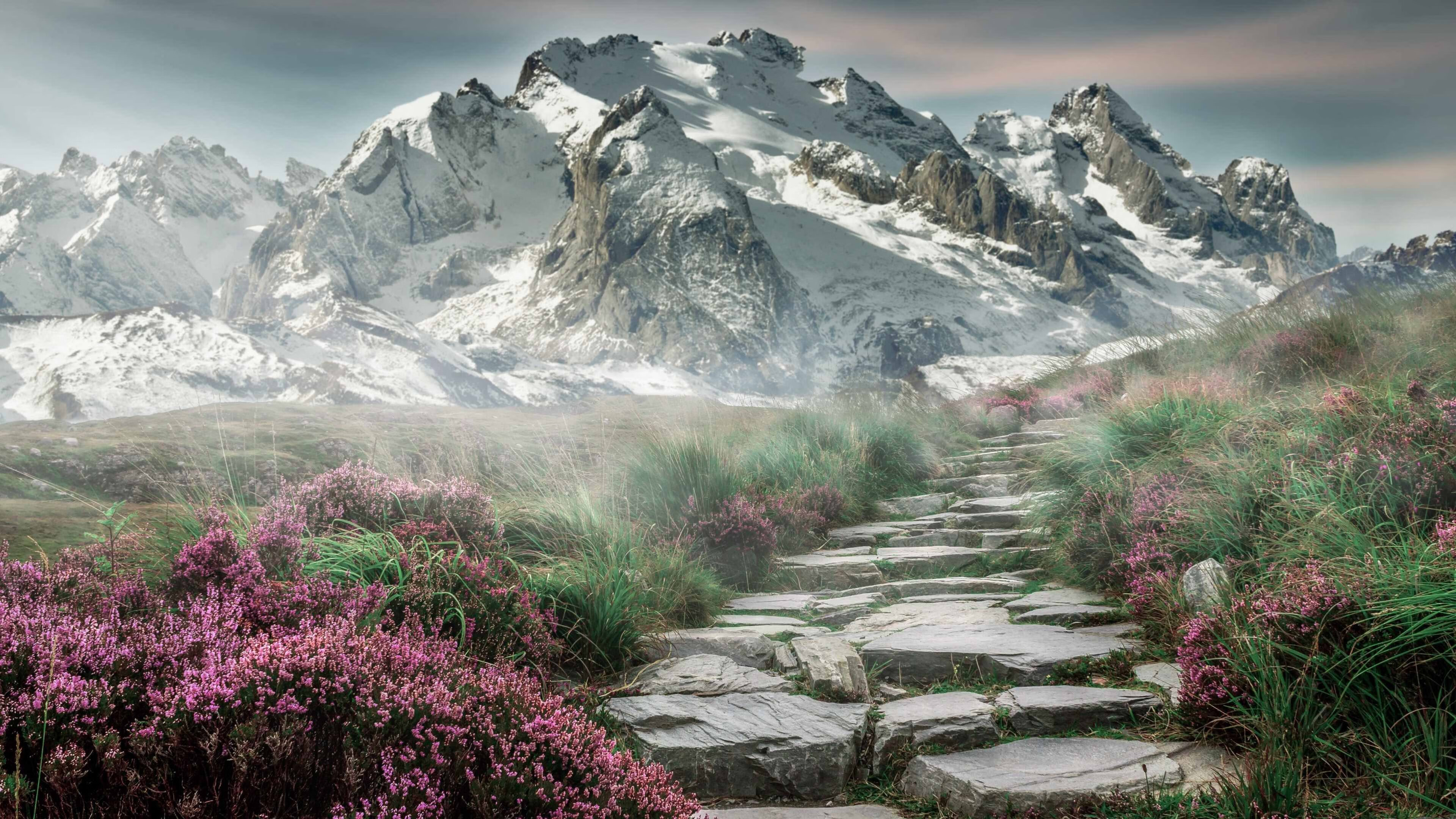 当文班亚马织起防守蛛网,萨克拉门托用日食为菲尼克斯送行