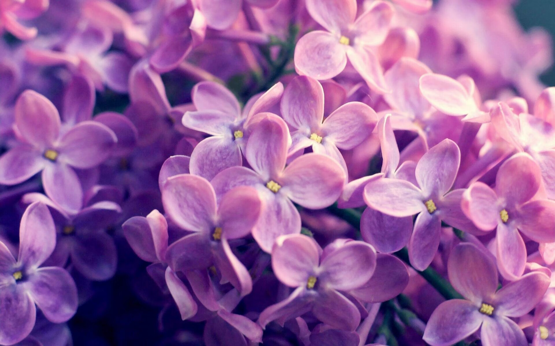 浓眉天神下凡破强敌，吉林跨联盟奇迹夜淘汰76人