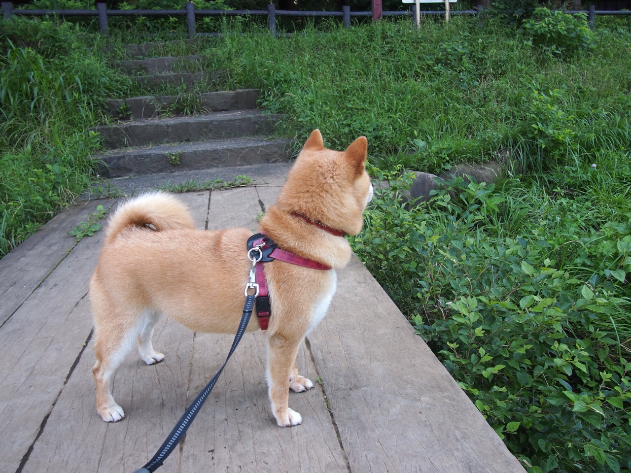 绝杀与统治,体育世界里,胜利的两种模样