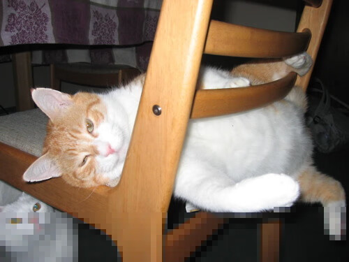 东决关键战之夜，爱德华兹以一人之力改写史诗对决的剧本